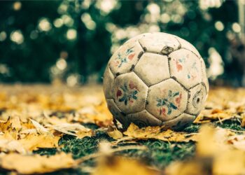 La pelota