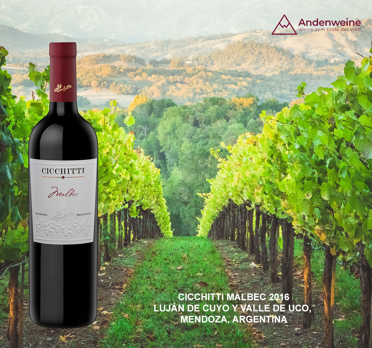 Paquetes de vinos con descuento en Andenweine - Image 7